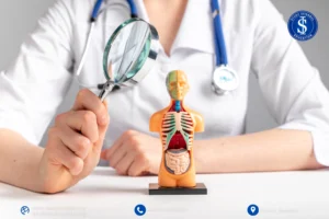 تُعد تركيا واحدة من الدول التي تولي اهتمامًا كبيرًا لتعليم وتطوير الطب البشري، حيث تعتبر كليات الطب فيها من بين الأفضل عالميًا بفضل اعتمادها على أساليب التدريس الحديثة المشابهة للنظم الأمريكية والأوروبية.