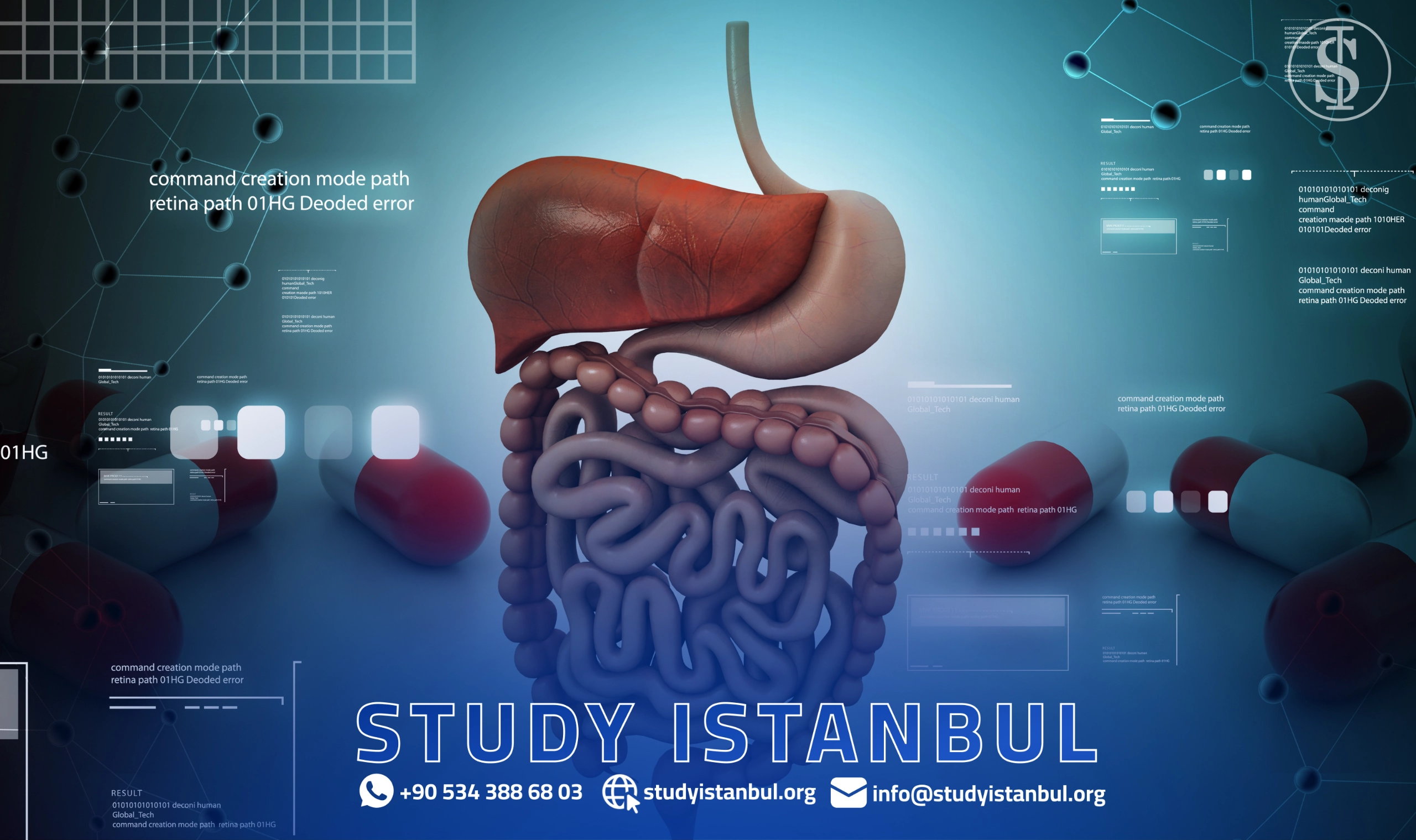 دليلك لاستكشاف تخصصات الطب البشري في تركيا-نظرة على بعض التخصصات الطبية المتوفرة في الجامعات التركية-مدة الدراسة لتخصصات الطب البشري في تركيا -