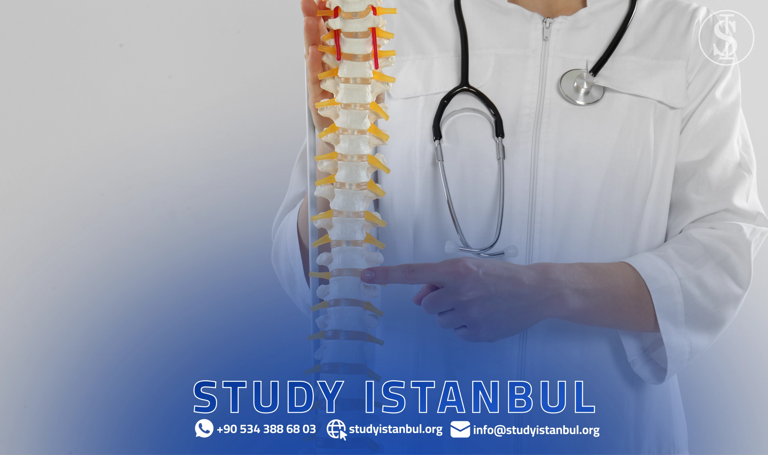 دليلك لاستكشاف تخصصات الطب البشري في تركيا-نظرة على بعض التخصصات الطبية المتوفرة في الجامعات التركية-مدة الدراسة لتخصصات الطب البشري في تركيا -
